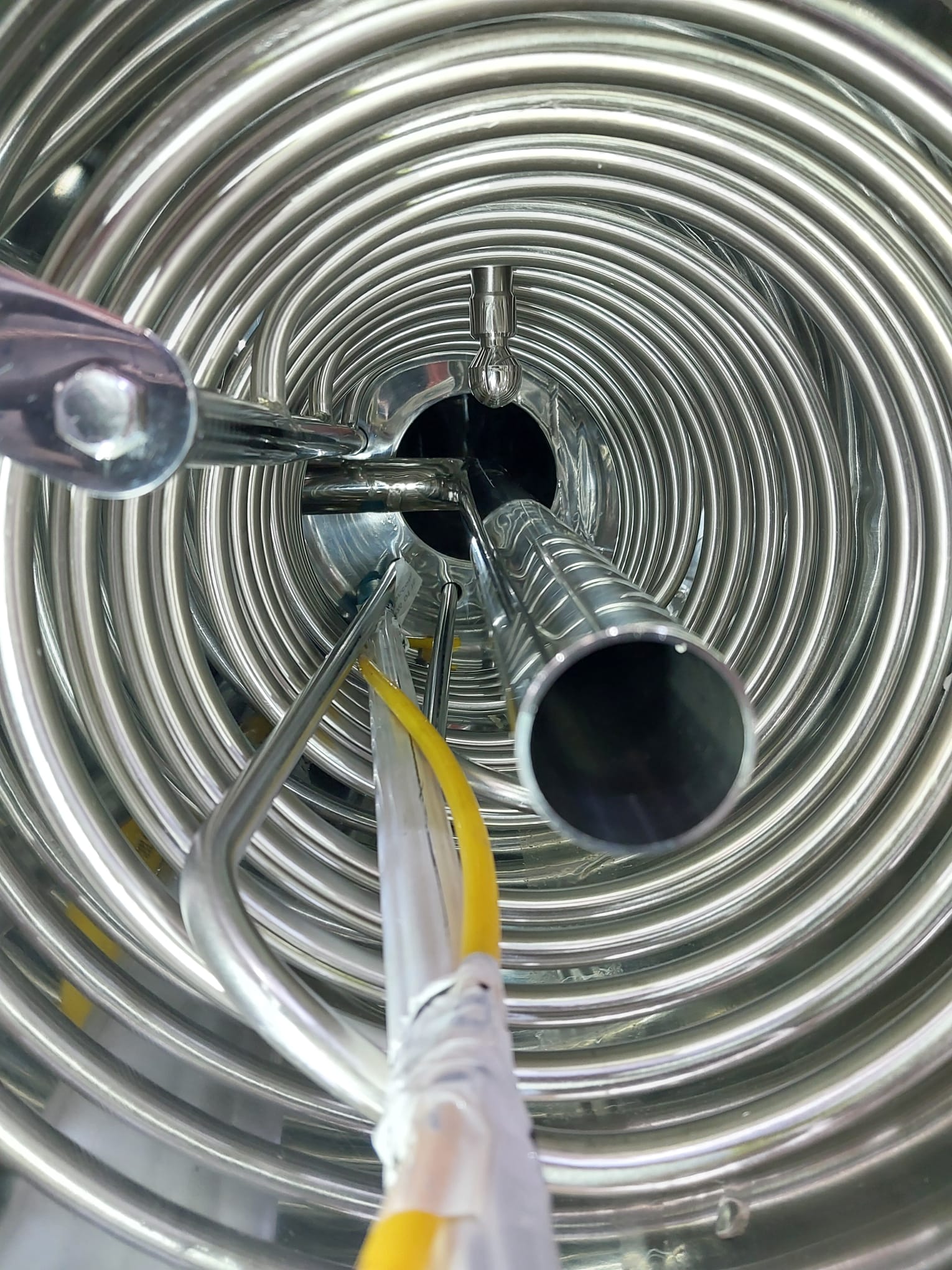 Limpieza biológica de biofilms en acero inoxidable